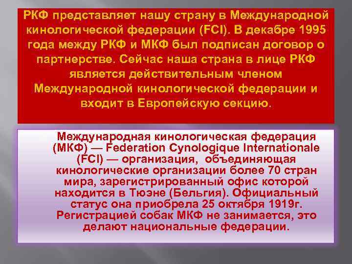 РКФ представляет нашу страну в Международной кинологической федерации (FCI). В декабре 1995 года между