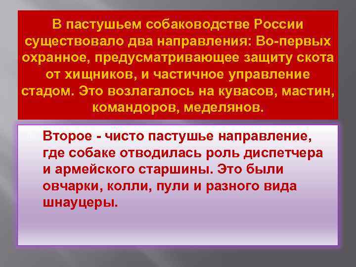 В пастушьем собаководстве России существовало два направления: Во-первых охранное, предусматривающее защиту скота от хищников,