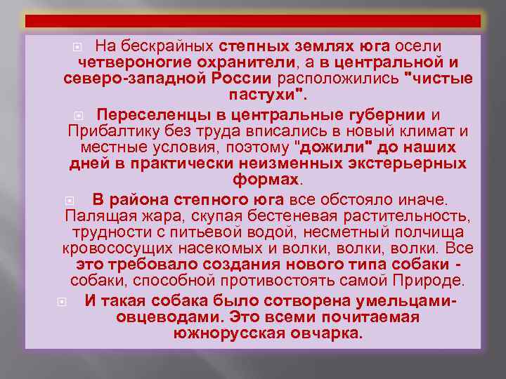 На бескрайных степных землях юга осели четвероногие охранители, а в центральной и северо-западной России