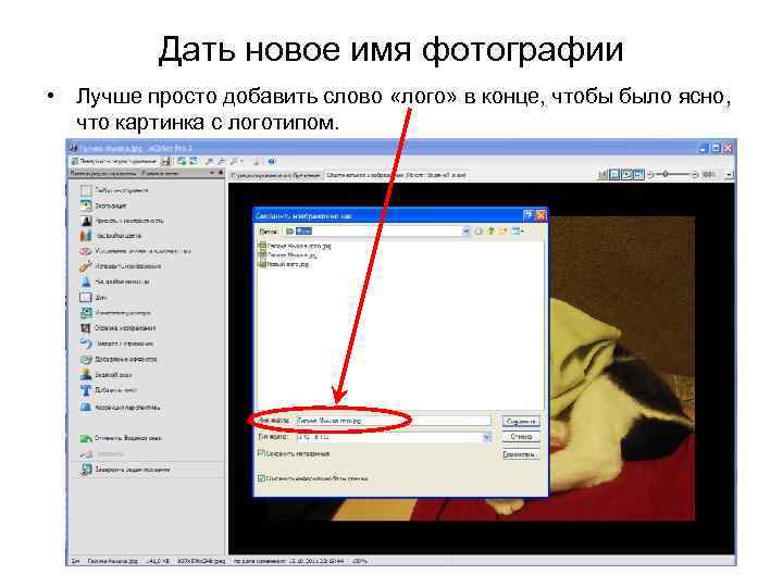Дать новое имя фотографии • Лучше просто добавить слово «лого» в конце, чтобы было