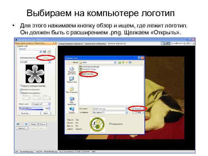 Выбираем на компьютере логотип • Для этого нажимаем кнопку обзор и ищем, где лежит