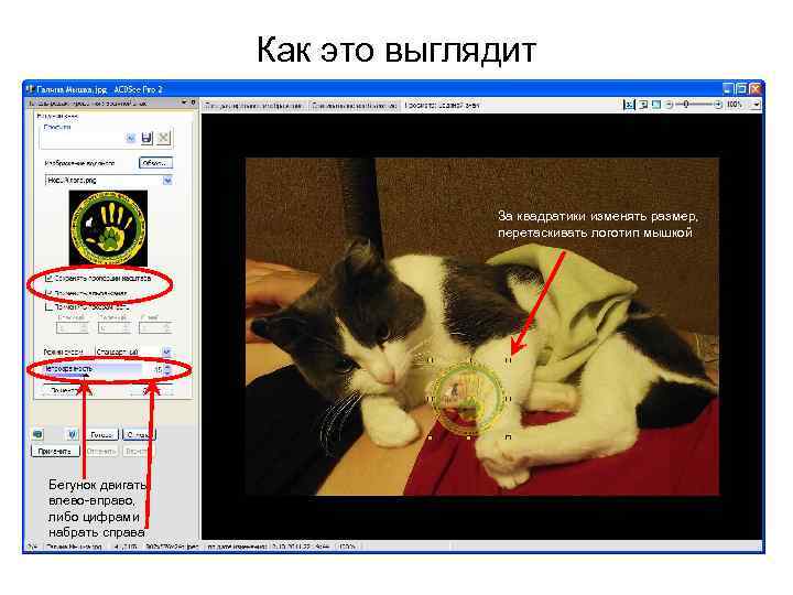 Как это выглядит За квадратики изменять размер, перетаскивать логотип мышкой Бегунок двигать влево-вправо, либо