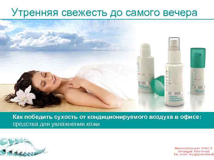 Утренняя свежесть до самого вечера Как победить сухость от кондиционируемого воздуха в офисе: средства