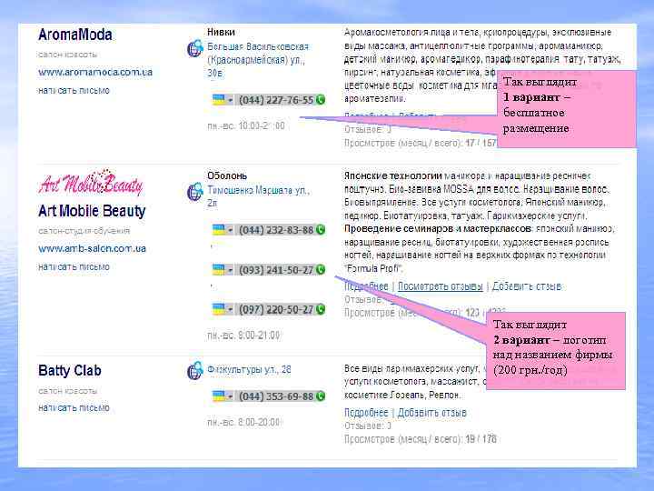 Так выглядит 1 вариант – бесплатное размещение Так выглядит 2 вариант – логотип над
