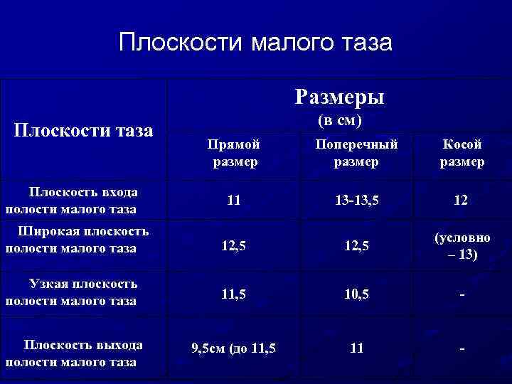 Размеры плоскости