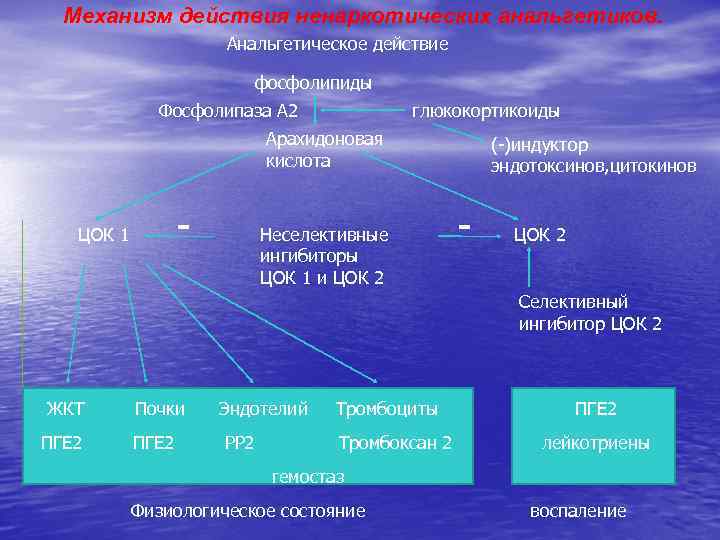 Механизм действия ненаркотических анальгетиков. Анальгетическое действие фосфолипиды Фосфолипаза А 2 глюкокортикоиды Арахидоновая кислота -