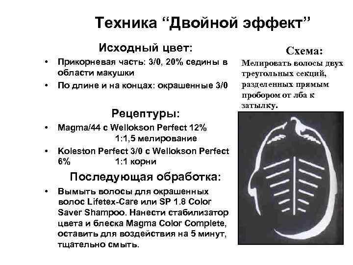 Техника “Двойной эффект” Исходный цвет: • • Прикорневая часть: 3/0, 20% седины в области