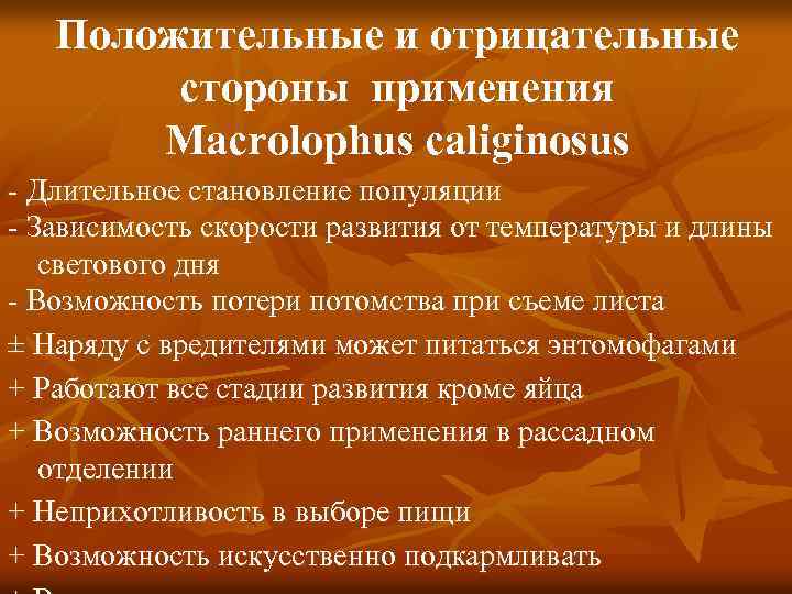 Положительные и отрицательные стороны применения Macrolophus caliginosus - Длительное становление популяции - Зависимость скорости
