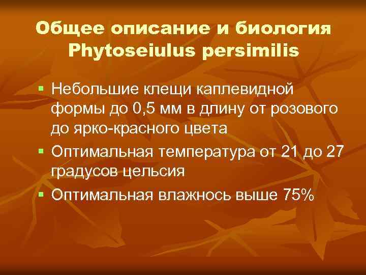 Общее описание и биология Phytoseiulus persimilis Небольшие клещи каплевидной формы до 0, 5 мм