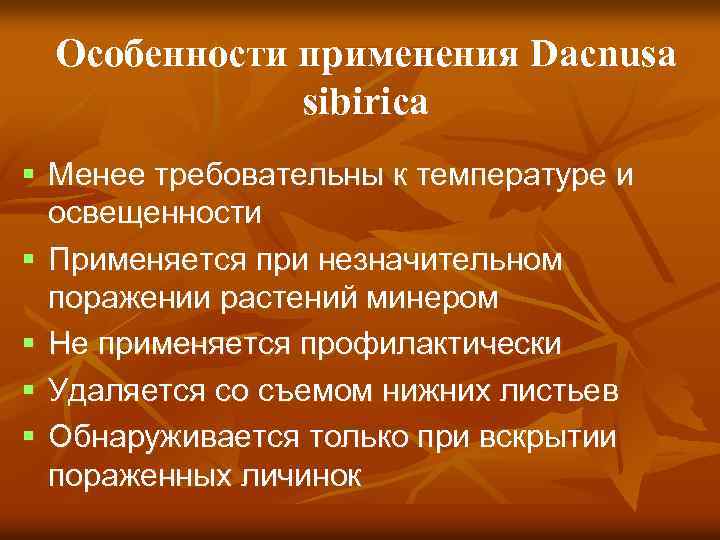 Особенности применения Dacnusa sibirica Менее требовательны к температуре и освещенности Применяется при незначительном поражении