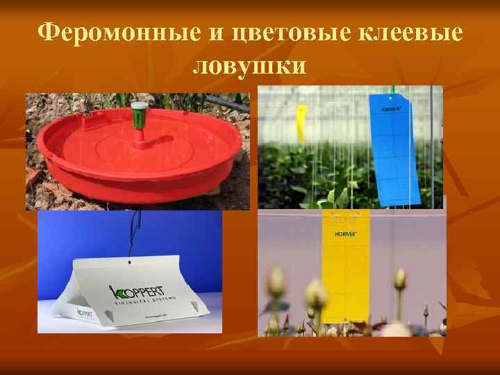 Феромонные и цветовые клеевые ловушки 