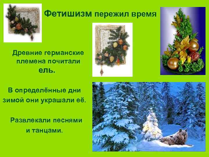 Фетишизм пережил время Древние германские племена почитали ель В определённые дни зимой они украшали