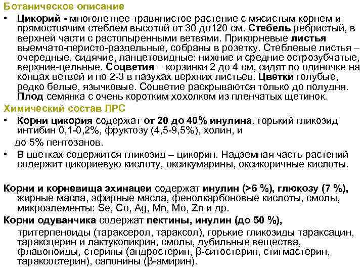Ботаническое описание • Цикорий - многолетнее травянистое растение с мясистым корнем и прямостоячим стеблем