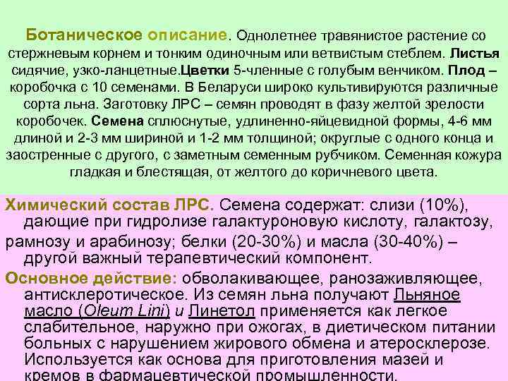 Ботаническое описание. Однолетнее травянистое растение со стержневым корнем и тонким одиночным или ветвистым стеблем.