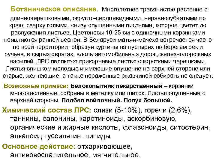 Ботаническое описание. Многолетнее травянистое растение с длинночерешковыми, округло сердцевидными, неравнозубчатыми по краю, сверху голыми,