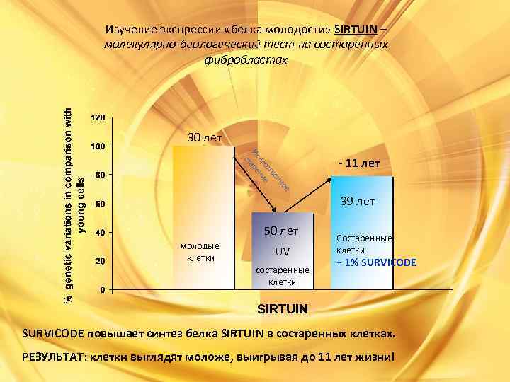 Изучение экспрессии «белка молодости» SIRTUIN – молекулярно-биологический тест на состаренных фибробластах 30 лет ое