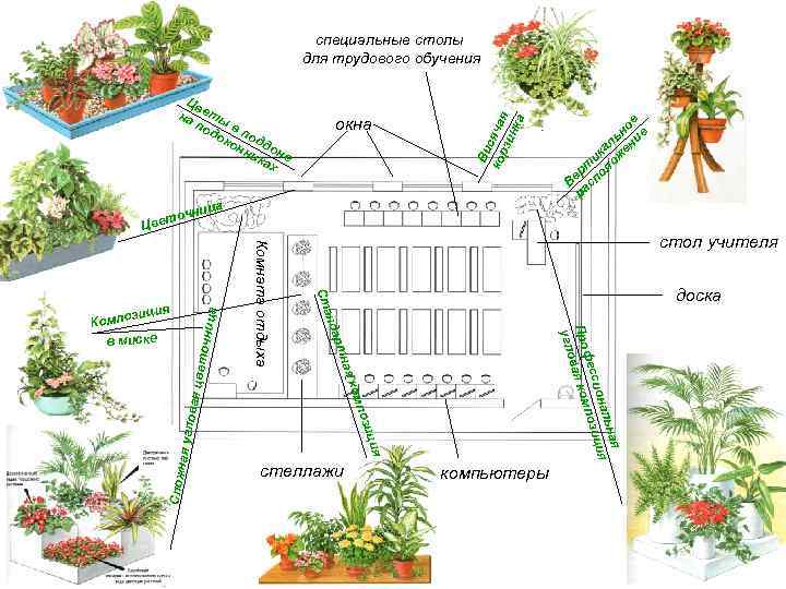 Цв на еты по до в по ко дд нн о н ик е