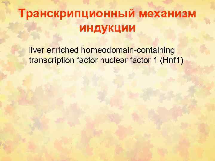 Транскрипционный механизм индукции liver enriched homeodomain-containing transcription factor nuclear factor 1 (Hnf 1) 