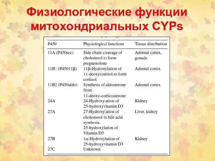 Физиологические функции митохондриальных СYPs 