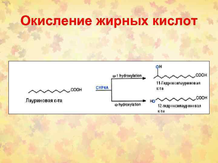 Окисление жирных кислот 