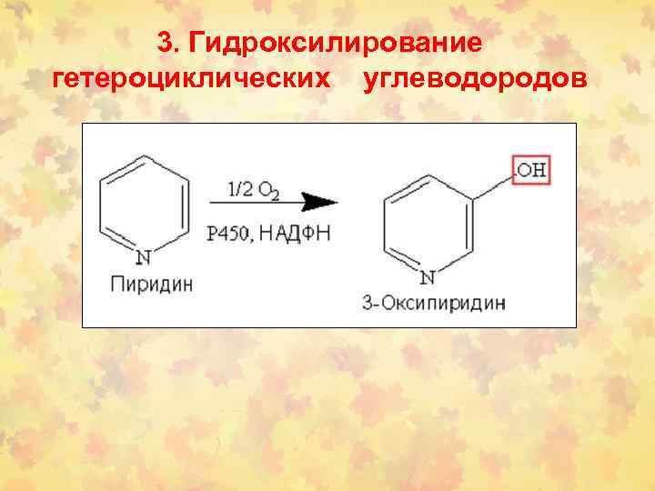 3. Гидроксилирование гетероциклических углеводородов 