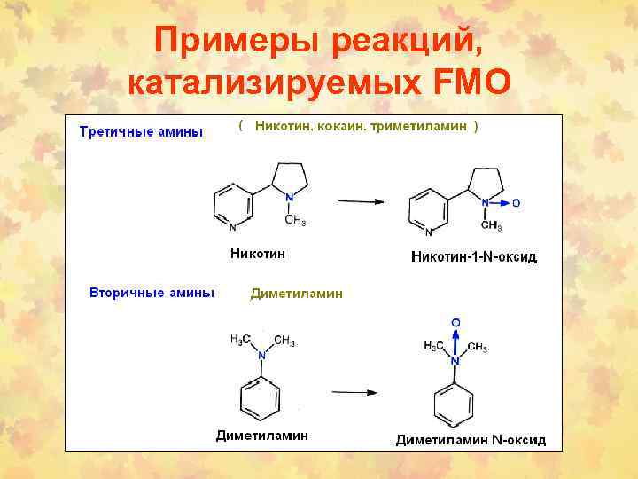 Примеры реакций, катализируемых FMO 