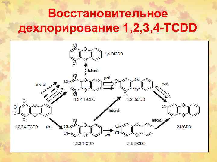 Восстановительное дехлорирование 1, 2, 3, 4 -TCDD 