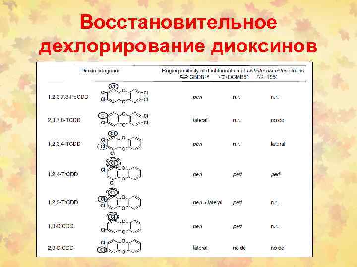 Восстановительное дехлорирование диоксинов 