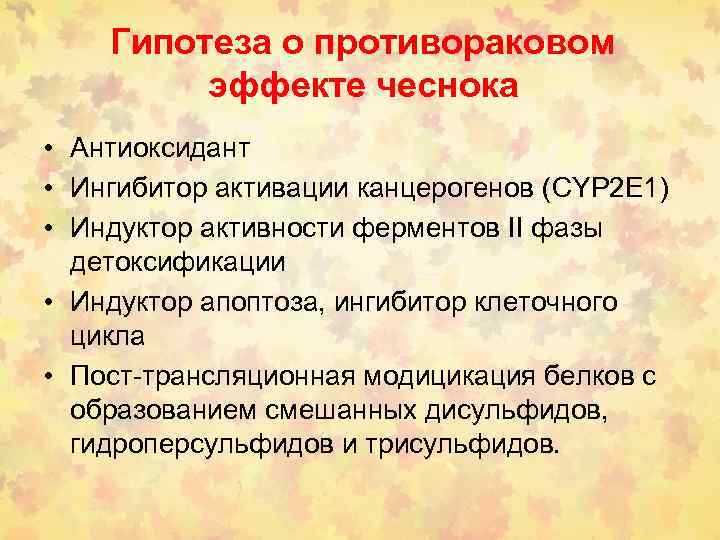 Гипотеза о противораковом эффекте чеснока • Антиоксидант • Ингибитор активации канцерогенов (CYP 2 E