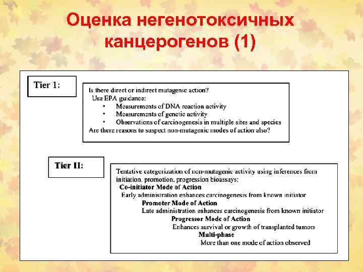 Оценка негенотоксичных канцерогенов (1) 