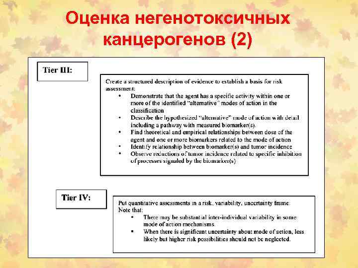 Оценка негенотоксичных канцерогенов (2) 