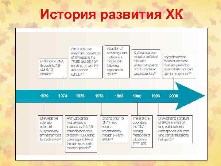 История развития ХК 