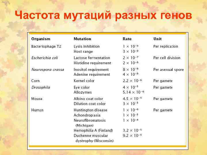Частота мутаций разных генов 