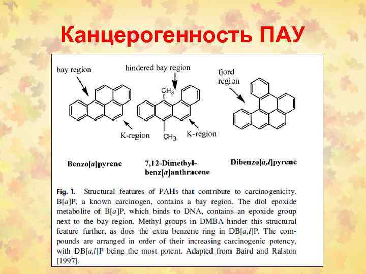Канцерогенность ПАУ 