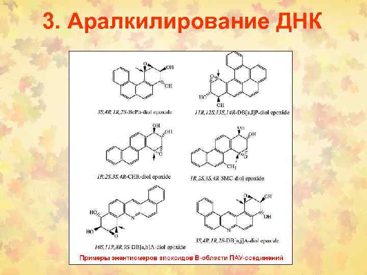 3. Аралкилирование ДНК 