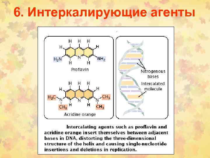 6. Интеркалирующие агенты 