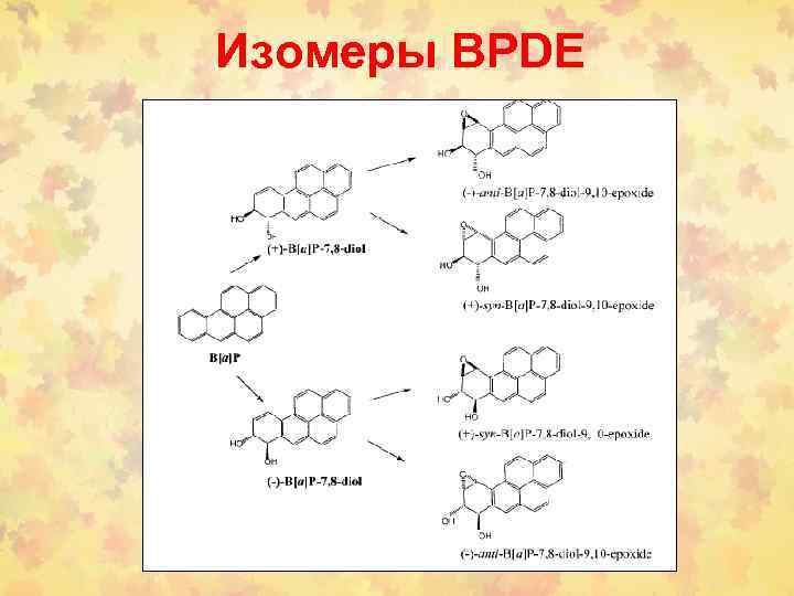 Изомеры BPDE 