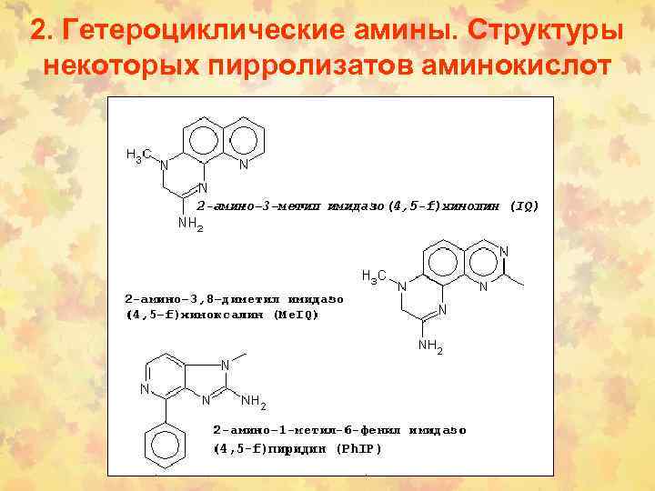 2. Гетероциклические амины. Структуры некоторых пирролизатов аминокислот 