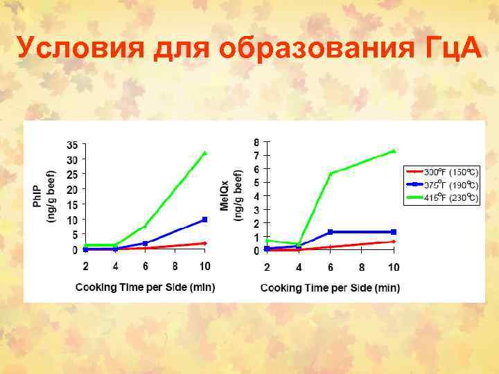 Условия для образования Гц. А 
