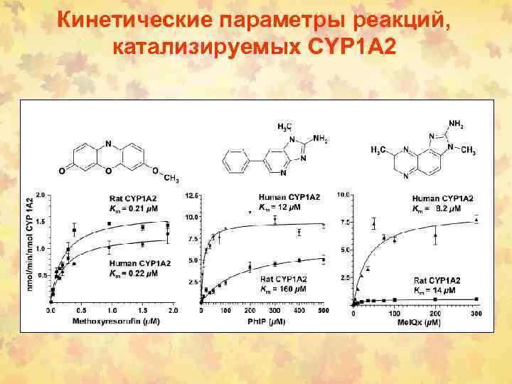 Кинетические параметры реакций, катализируемых CYP 1 A 2 