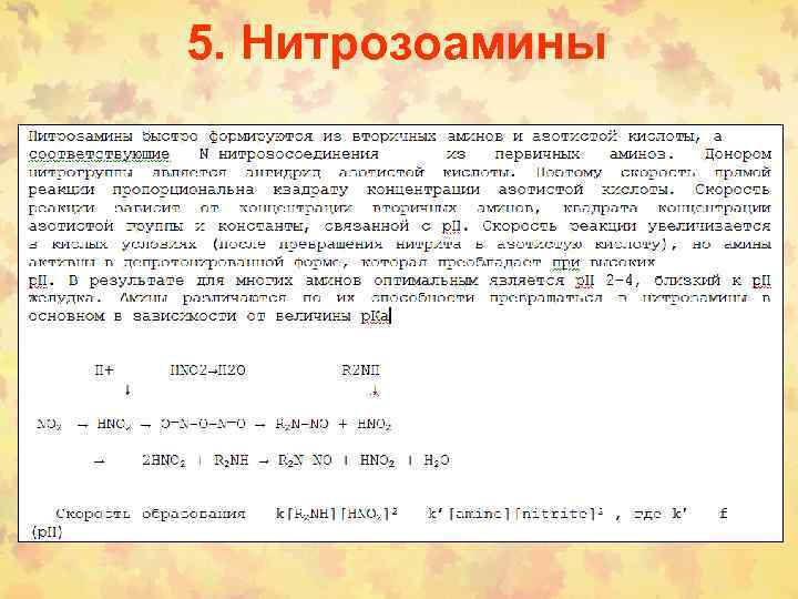 5. Нитрозоамины 