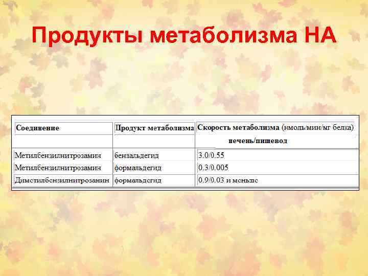 Продукты метаболизма НА 