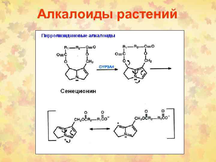 Алкалоиды растений 