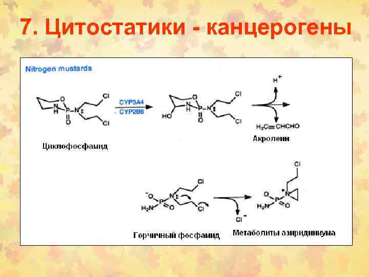 7. Цитостатики - канцерогены 