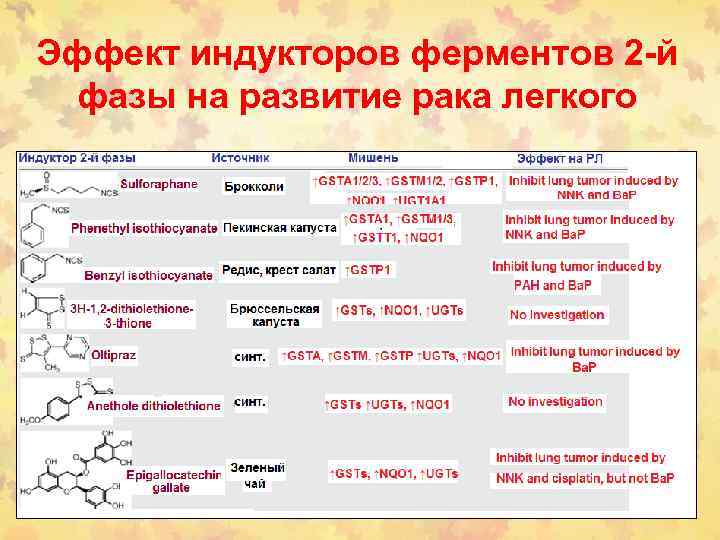 Эффект индукторов ферментов 2 -й фазы на развитие рака легкого 
