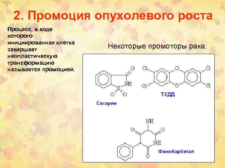 2. Промоция опухолевого роста Процесс, в ходе которого инициированная клетка завершает неопластическую трансформацию называется