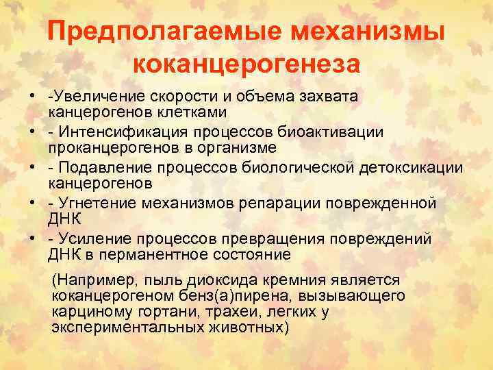 Предполагаемые механизмы коканцерогенеза • -Увеличение скорости и объема захвата канцерогенов клетками • - Интенсификация
