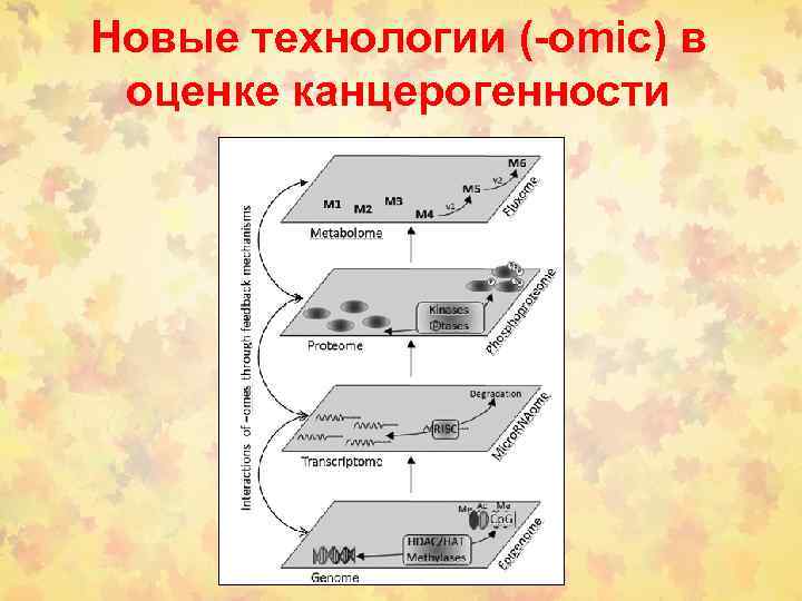 Новые технологии (-omic) в оценке канцерогенности 
