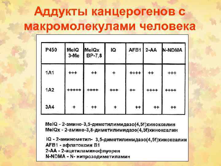 Аддукты канцерогенов с макромолекулами человека 