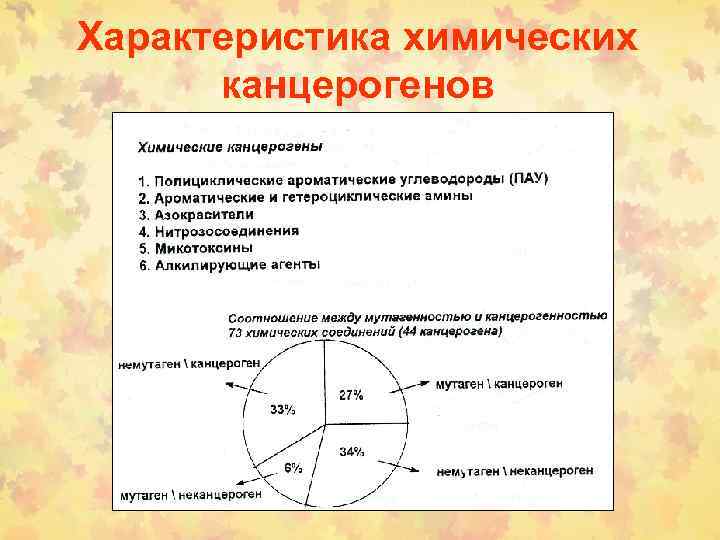Характеристика химических канцерогенов 